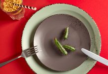 Cactus branches lie on a brown plate. There is a large green plate under the plate. A fork and a knife lie on the edges of the plates. On a red background. View from above.