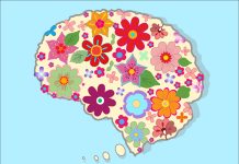 Beautiful brain with nice colored flowers
